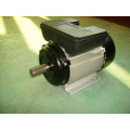 Yl Einphasiger Elektromotor (YL90L2)